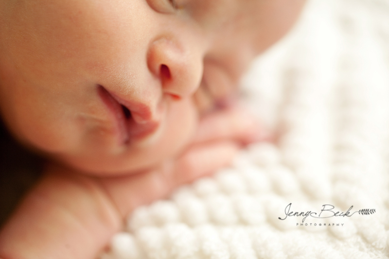 Jenny Beck Photography - Newborn Portraits 12