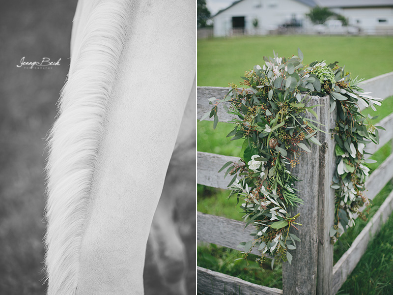 johnstown ohio equine photographer - white horse maine and mane greenery florals