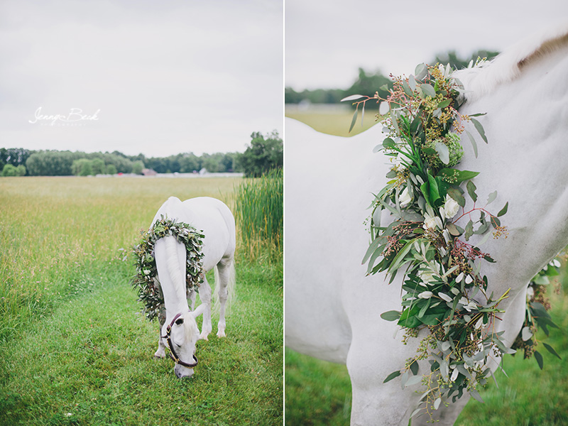 johnstown ohio equine photographer - white horse with neck garland