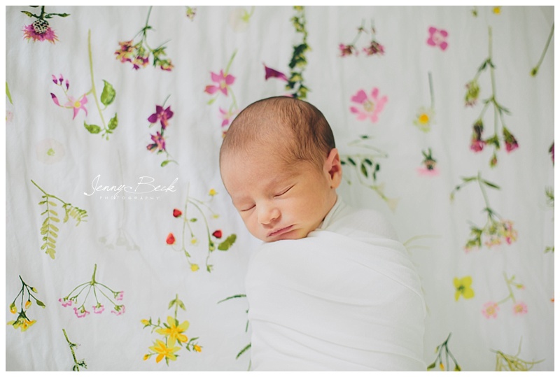 galena ohio lifestyle newborn photographer 6