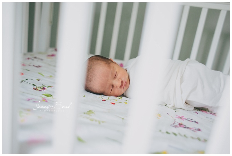 galena ohio lifestyle newborn photographer 4