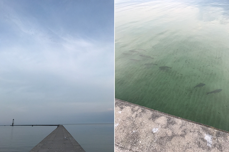 blue sky with frankfort pier and still morning water and photo of large fish swimming near the frankfort pier