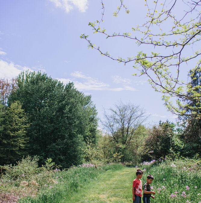 EXPLORING NATURE