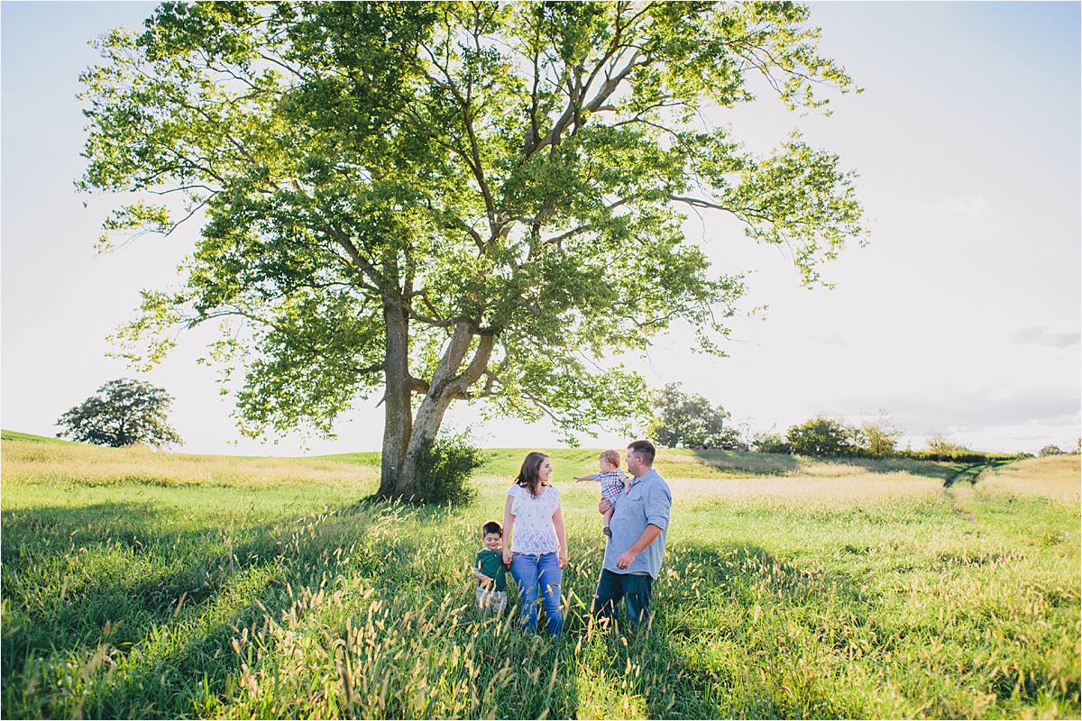 Westerville Ohio Family Photoshoot - family in a field of long grass, large tree and sun rays shining through the tree