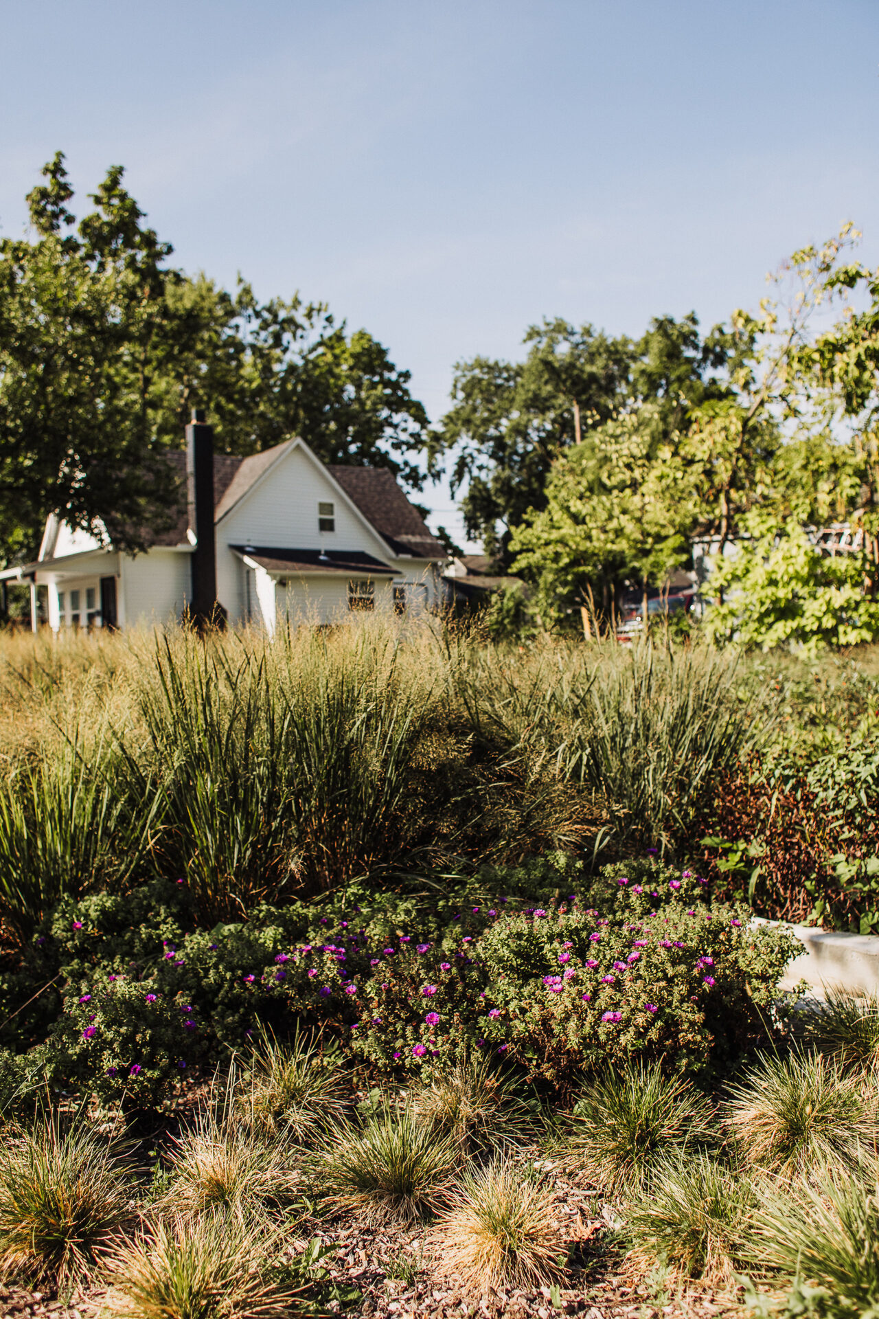 Gresham Smith landscape project